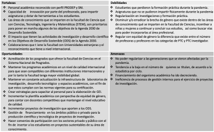 FODA-Eje Desarrollo Institucional.